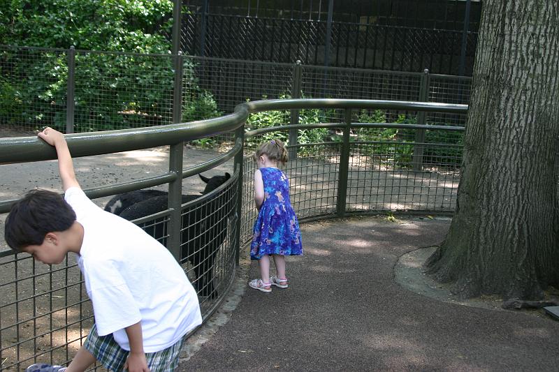 Picture 1044.jpg